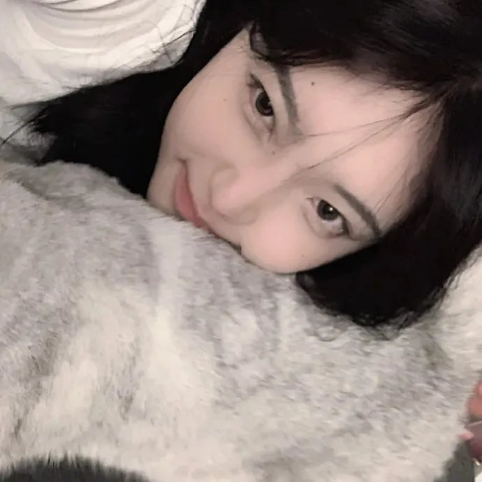 救难小英雄：澳洲历险记